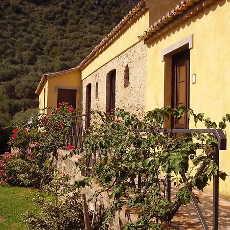 Santa Severina Azienda Agrituristica Biologica Il Querceto מראה חיצוני תמונה