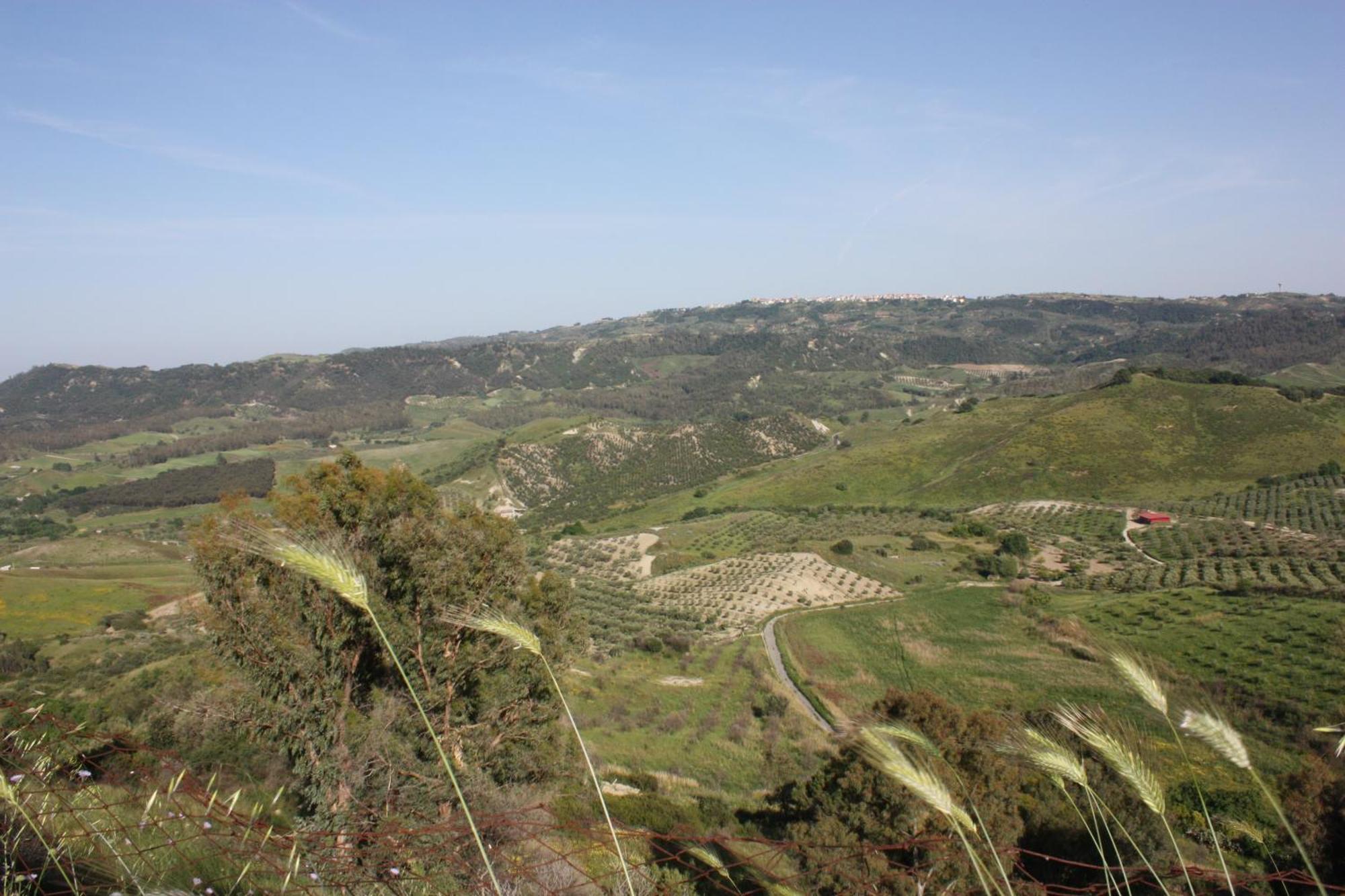 Santa Severina Azienda Agrituristica Biologica Il Querceto מראה חיצוני תמונה