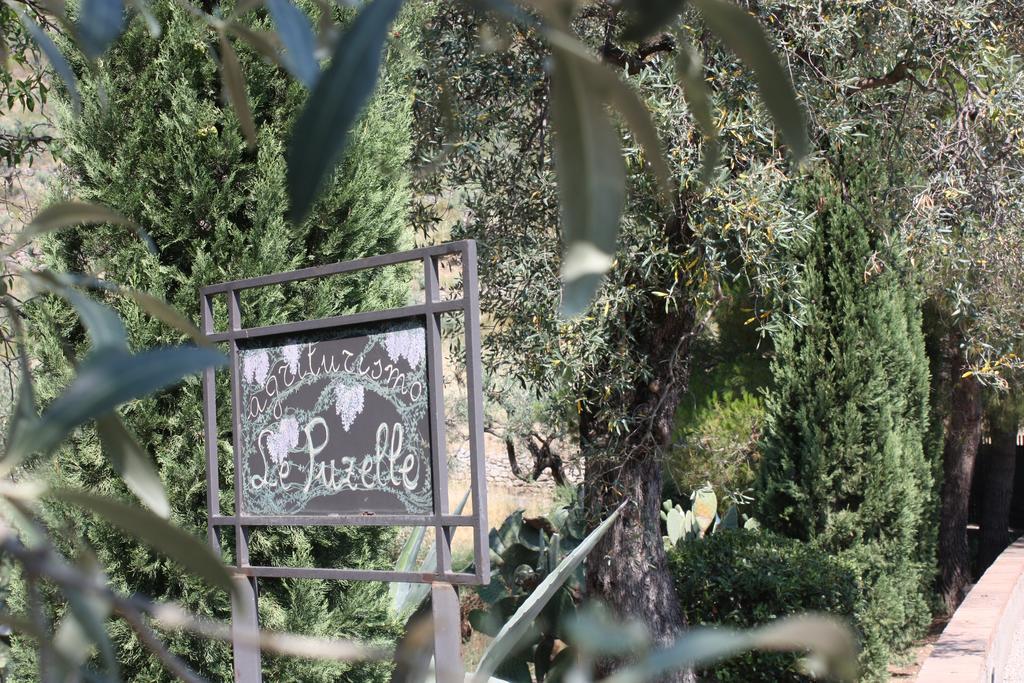 Santa Severina Azienda Agrituristica Biologica Il Querceto מראה חיצוני תמונה