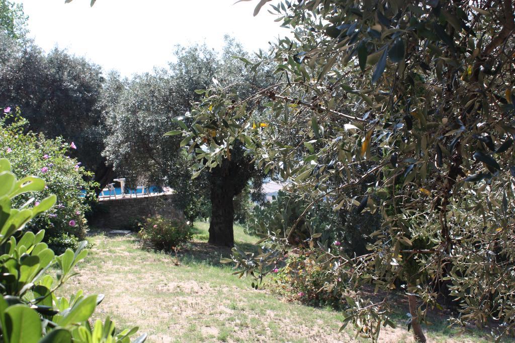 Santa Severina Azienda Agrituristica Biologica Il Querceto מראה חיצוני תמונה