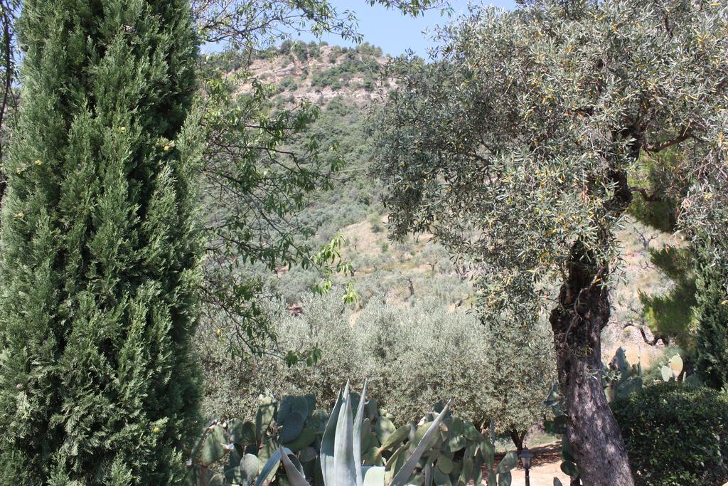 Santa Severina Azienda Agrituristica Biologica Il Querceto מראה חיצוני תמונה