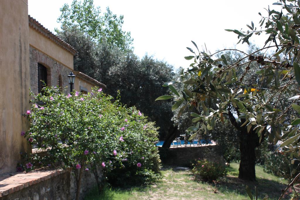 Santa Severina Azienda Agrituristica Biologica Il Querceto מראה חיצוני תמונה