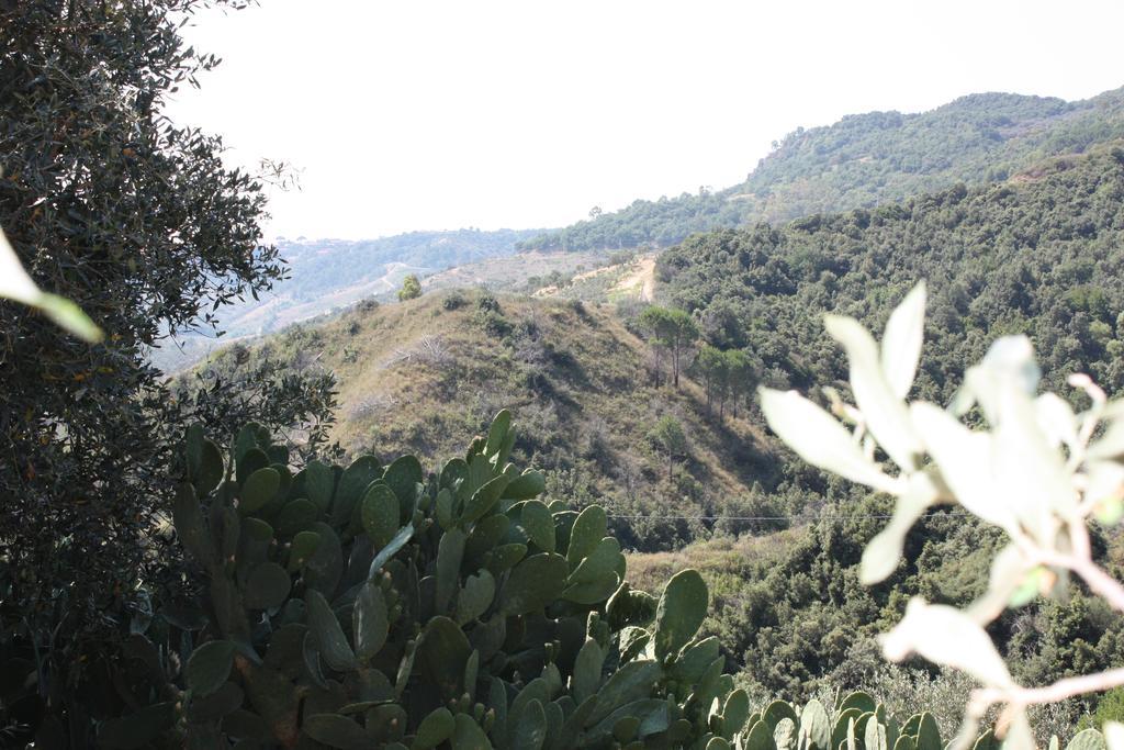 Santa Severina Azienda Agrituristica Biologica Il Querceto מראה חיצוני תמונה