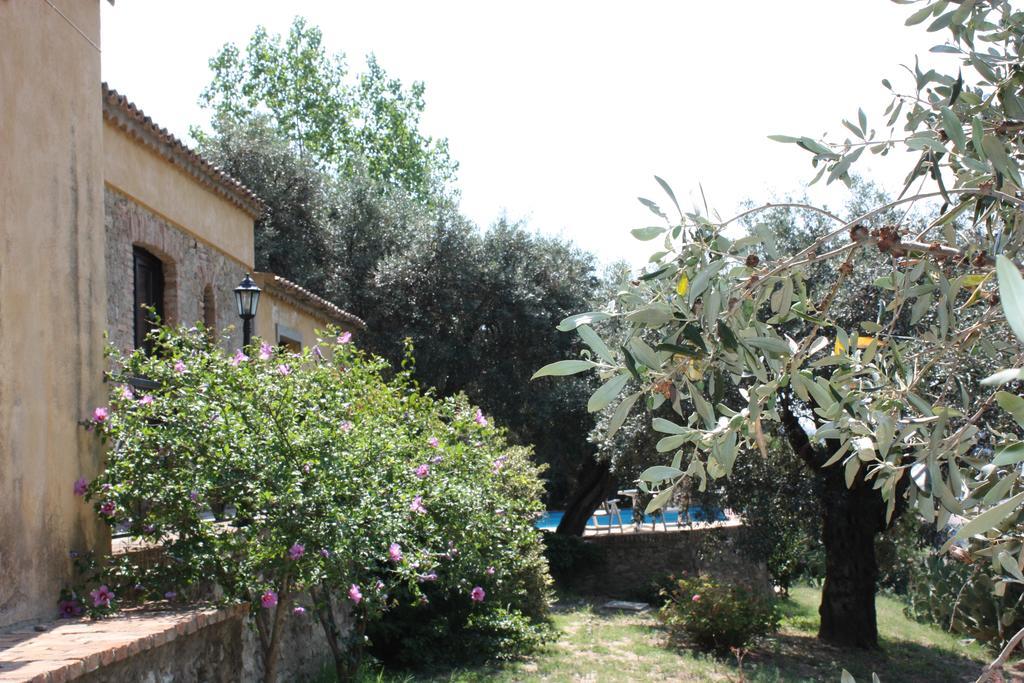 Santa Severina Azienda Agrituristica Biologica Il Querceto מראה חיצוני תמונה