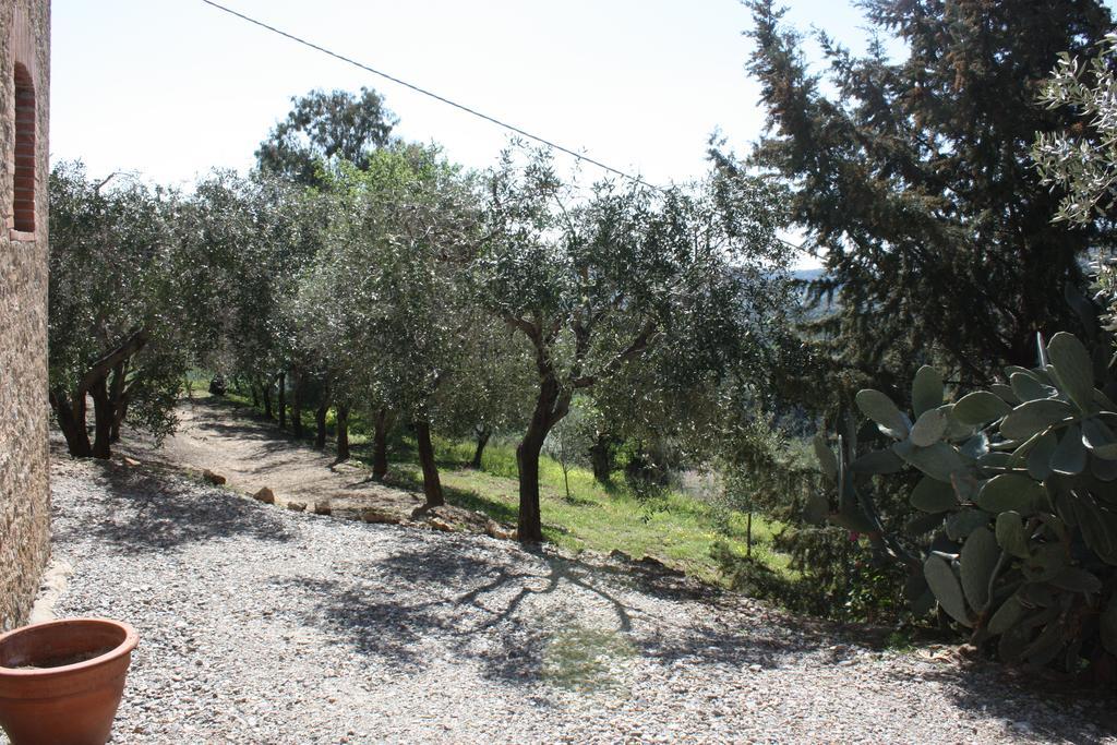 Santa Severina Azienda Agrituristica Biologica Il Querceto מראה חיצוני תמונה