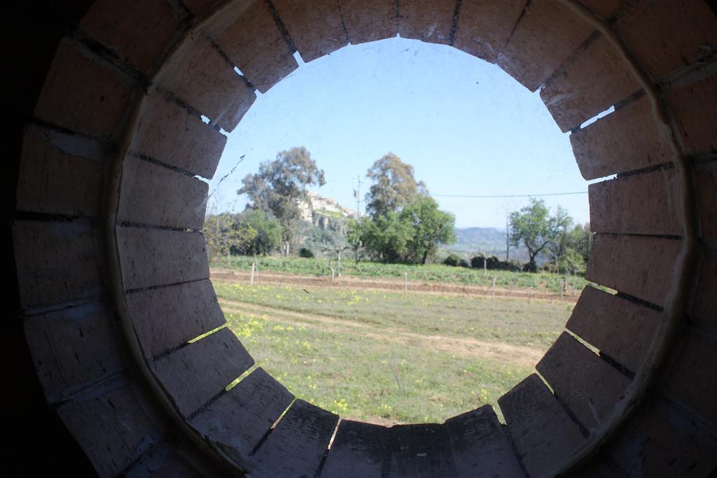Santa Severina Azienda Agrituristica Biologica Il Querceto מראה חיצוני תמונה