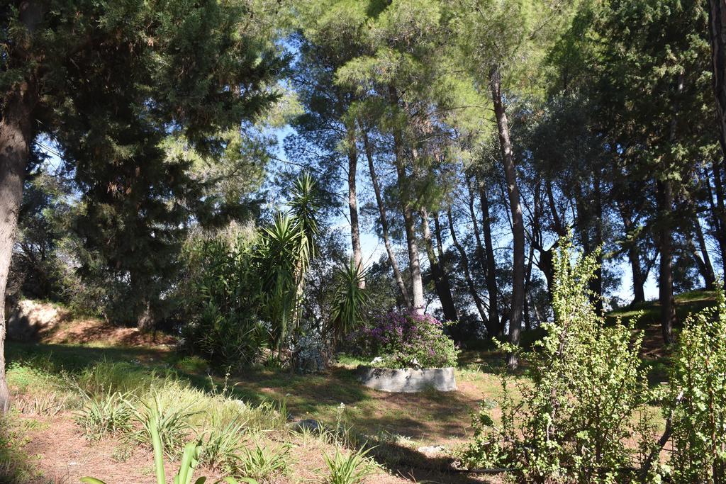 Santa Severina Azienda Agrituristica Biologica Il Querceto מראה חיצוני תמונה